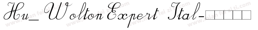 Hu_WoltonExpert Ital字体转换